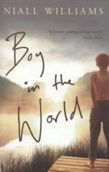 Boy in the world by Niall Williams