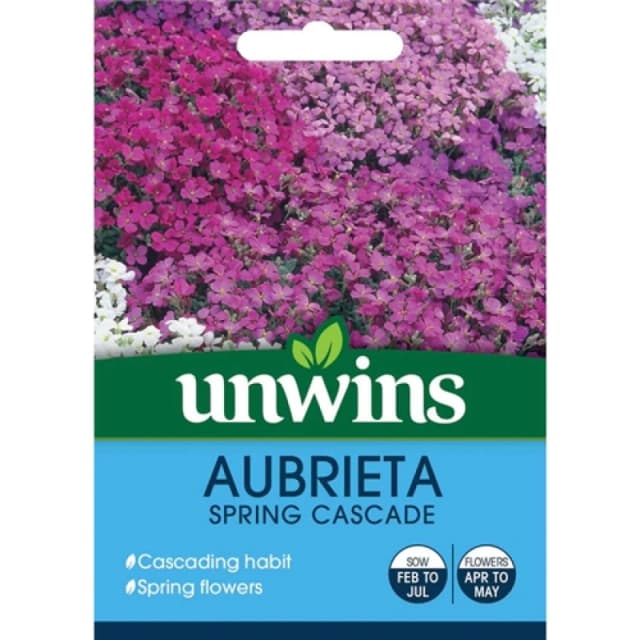 Unwins Aubrieta Spring Cascade