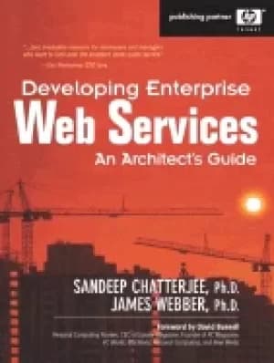developing enterprise web services an architects guide an architects guide