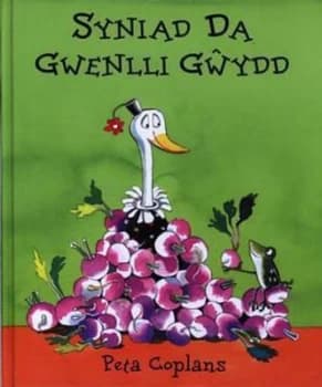 Syniad Da Gwenlli Gwydd by Peta Coplans Hardback