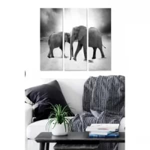 MDF970456 Multicolor Decorative MDF Painting (3 Pieces)