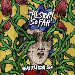 What You Dont See by The Story So Far CD Album