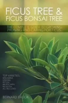 Ficus tree and ficus bonsai tree by Bernard Brook