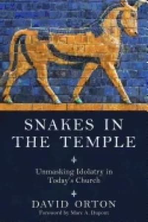 snakes in the temple unmasking idolatry in todays church