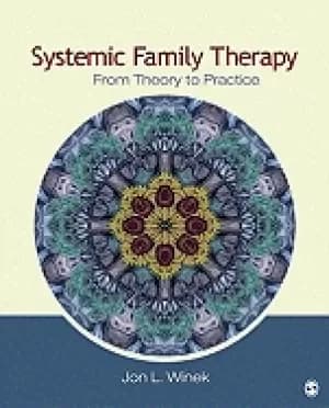 systemic family therapy from theory to practice