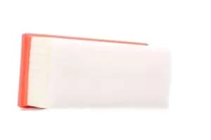FILTRON Air filter AP 139/3 Engine air filter,Engine filter VW,AUDI,SKODA,Golf V Schragheck (1K1),TOURAN (1T1, 1T2),Passat Variant (3C5),GOLF VI (5K1)