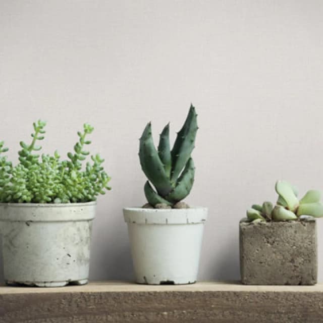 Galerie Industrial Effects Cream Matte Plain Texture Wallpaper Roll