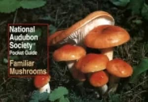 national audubon society pocket guide familiar mushrooms