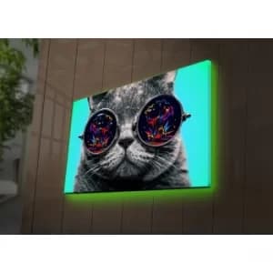4570DACT-61 Multicolor Decorative LED Lighted Canvas Painting