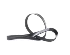 DAYCO V-ribbed belt VW,AUDI,FIAT 6PK1115 71749453,06J260849D,5750L0 Serpentine belt,Auxiliary belt,Poly V-belt,Ribbed belt,Multi V-belt,Poly belt