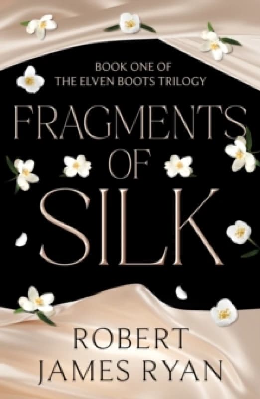 Fragments of Silk Paperback / softback
