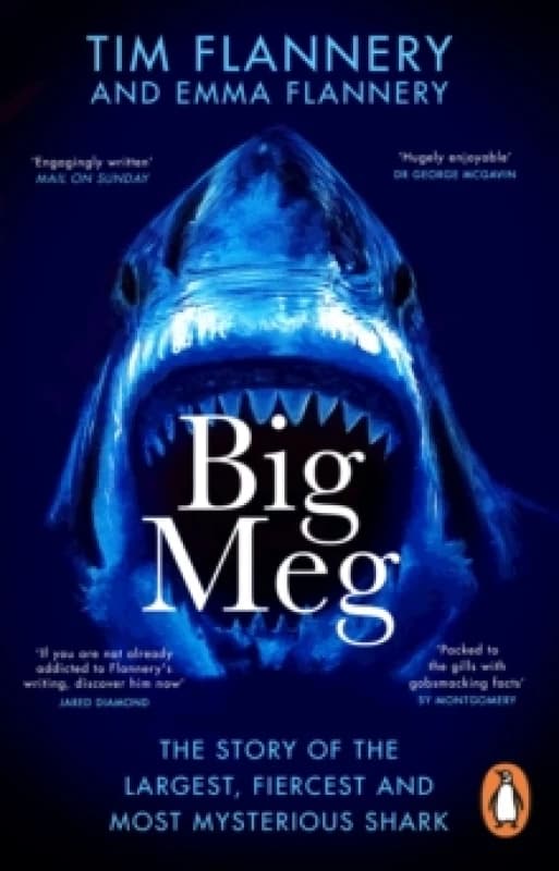 Big Meg : The Story of the Largest, Fiercest and Most Mysterious Shark Paperback / softback