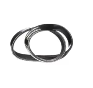 RIDEX V-ribbed belt HYUNDAI 305P0168 5723122000,5723129050 Serpentine belt,Auxiliary belt,Poly V-belt,Ribbed belt,Multi V-belt,Poly belt