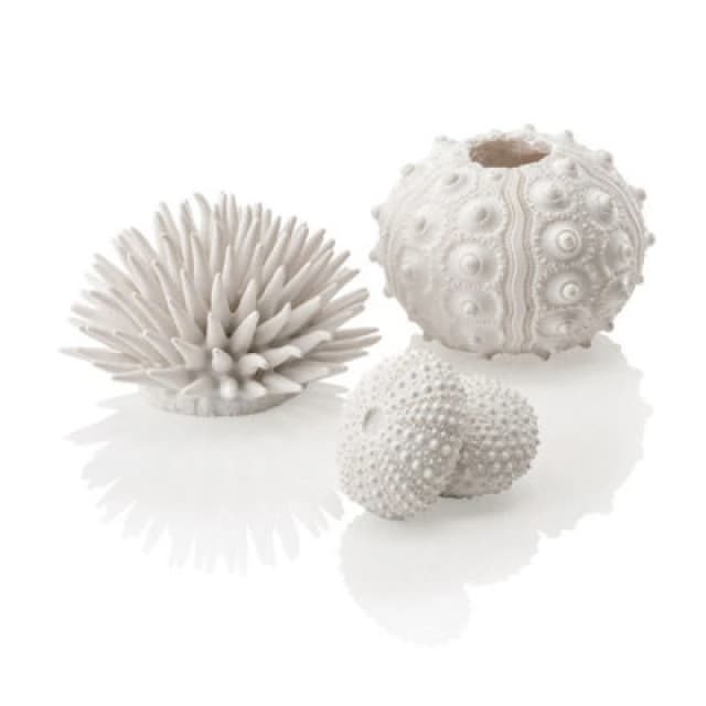 Oase Biorb Sea Urchins Set, White - Aquarium Fish Tank Ornament