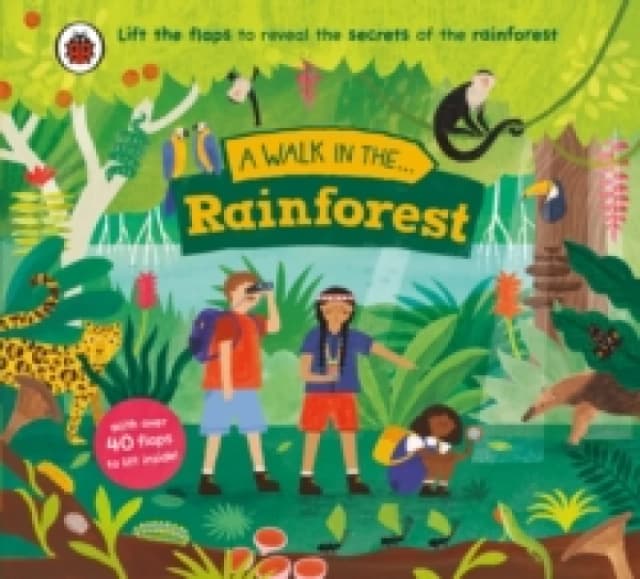 A Walk in the Rainforest Board book