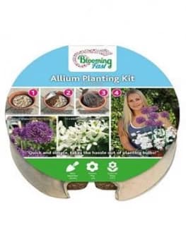 Plant O Mat Tray #7 Allium Mix 19 Bulbs