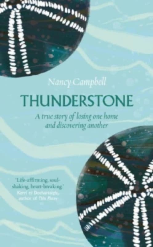 Thunderstone : Finding Shelter from the Storm Paperback / softback