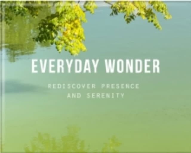 Everyday Wonder : Rediscover presence and serenity Cards
