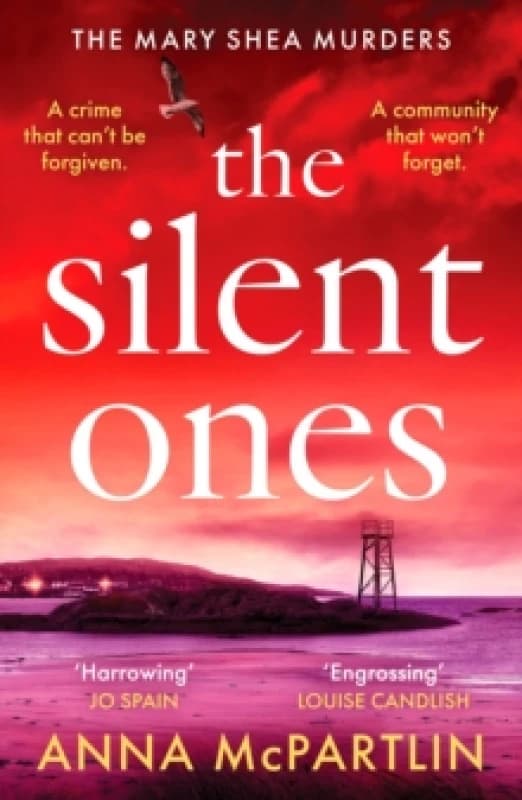 The Silent Ones : An unmissable Irish crime thriller from an international bestseller Paperback / softback