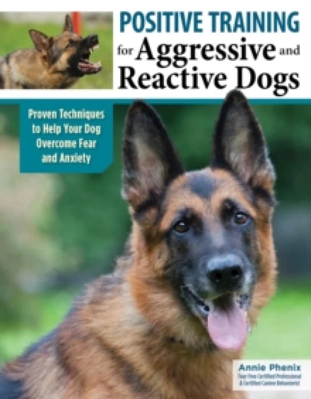 Positive Training for Aggressive & Reactive Dogs : Help Your Dog Overcome Fear and Anxiety Paperback / softback