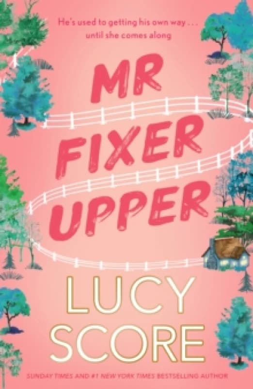 Mr Fixer Upper : the new romance from the 2023 bestselling Tiktok sensation! Paperback / softback