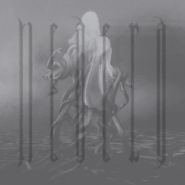 Neaera Neaera LP multicolor Onesize Unisex