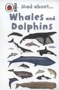 Mad about Whales and Dolphins by Anita Ganeri Hardback