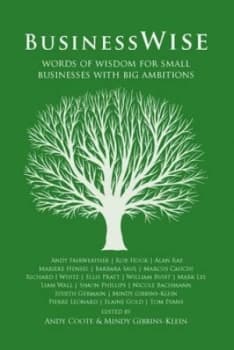 Businesswise by Mindy Gibbins-Klein Book