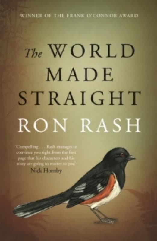The World Made Straight Paperback / softback