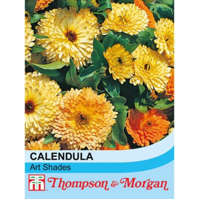 Thompson & Morgan Calendula Art Shades Mixed 1 Seed Packet (100 Seeds)