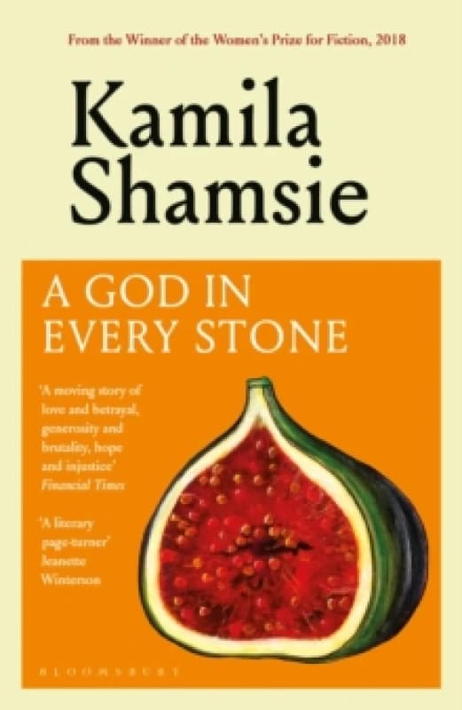 A God in Every Stone Paperback / softback