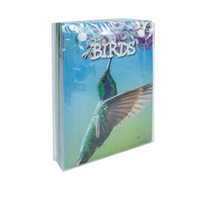 Children Introduction to Nature for Beginners 10 Book Set Katherine Eason Books