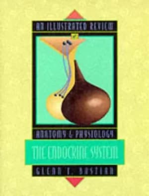 An illustrated review of the endocrine system by Glenn Bastian