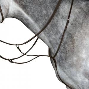 Collegiate Running Martingale - Brown