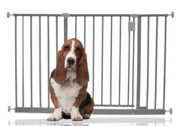 Bettacare Extra Wide Hallway Dog Gate, 116Cm - 121Cm, Grey, Pressure Fit Pet Gate, Puppy Safety Barrier