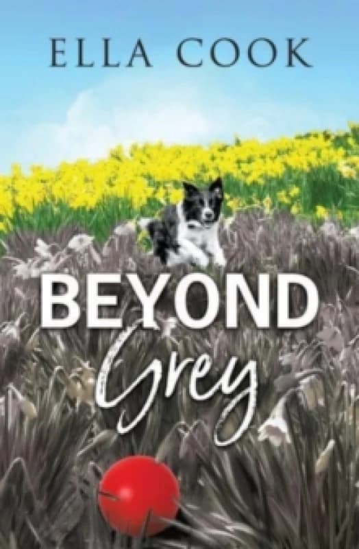 Beyond Grey Paperback / softback