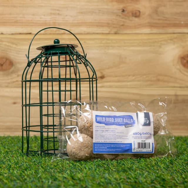 Samuel Alexander Metal Hanging Bird Fat Ball Feeder with Squirrel Guard & Pack of 6 Suet Fat Balls