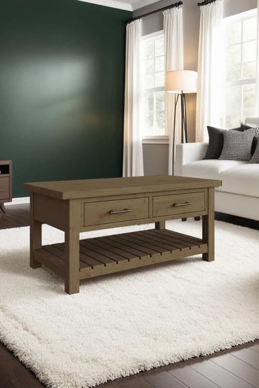 FWStyle FWStyle Solid Pine 2 Drawer Storage Coffee Table in Brown Brown One Size Unisex 5056413124654