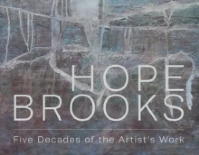 Hope Brooks. Paperback. By Hope Brooks Books