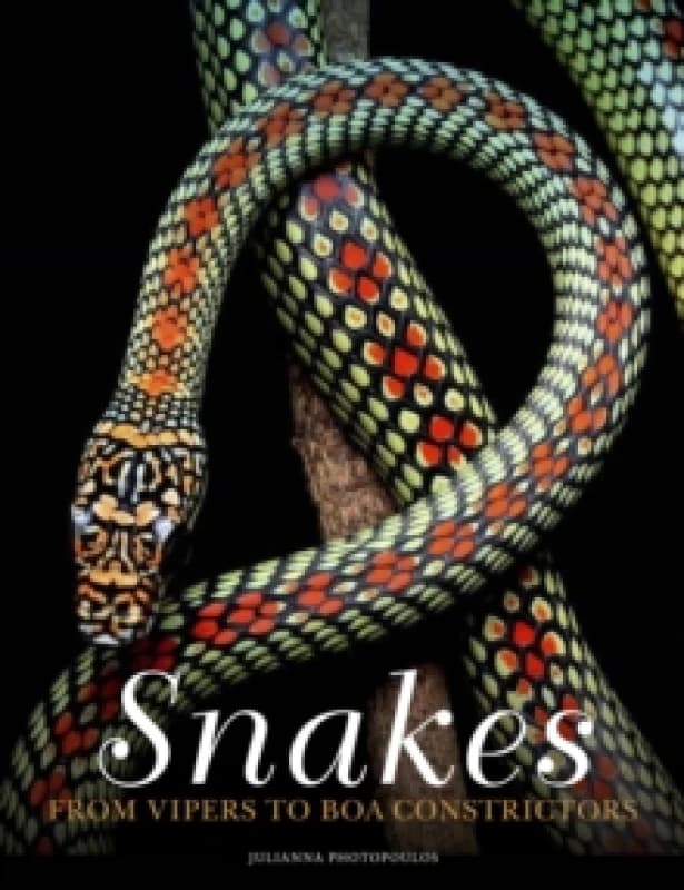 Snakes : From Vipers to Boa Constrictors Hardback