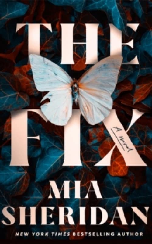 The Fix : A Novel Paperback / softback