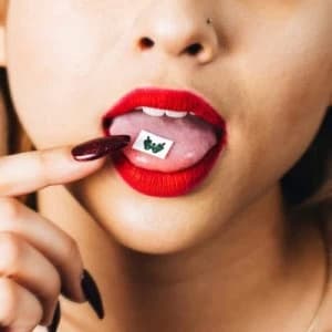 Tasty Nasty by Wilson CD Album