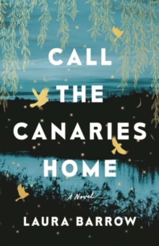 Call the Canaries Home : A Novel Paperback / softback