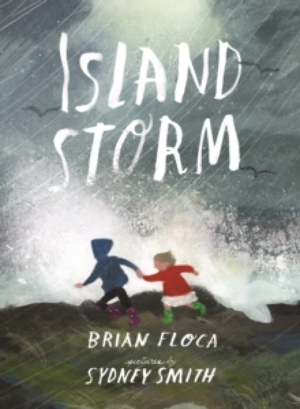 Island Storm : A stunningly illustrated picture book of two siblings experiencing the power of the natural world, illustrated by Sydney Smith, winner