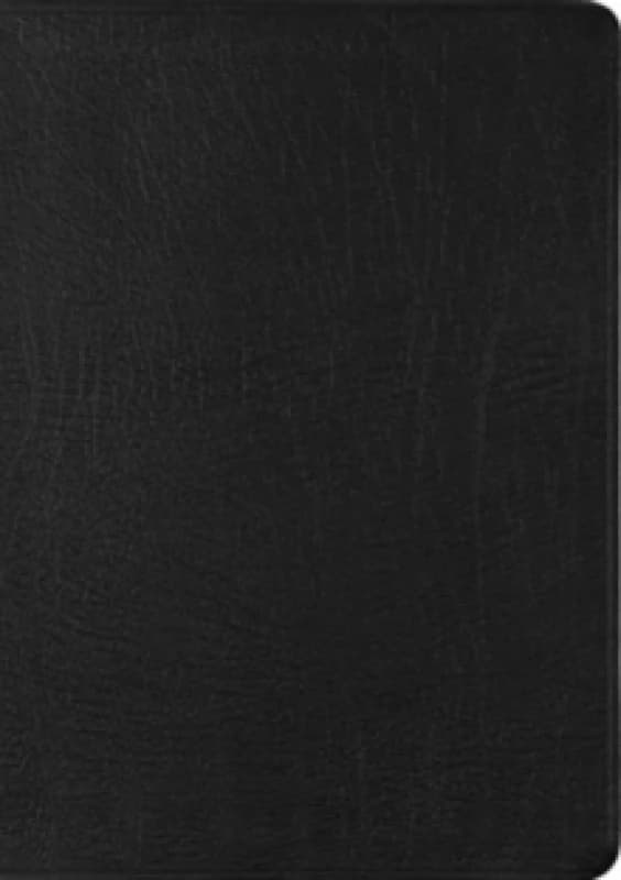 ESV New Testament With Psalms and Proverbs. Leather / fine binding Books