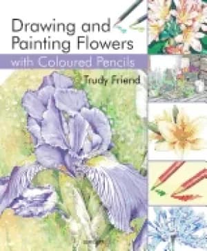 drawing and painting flowers with coloured pancils