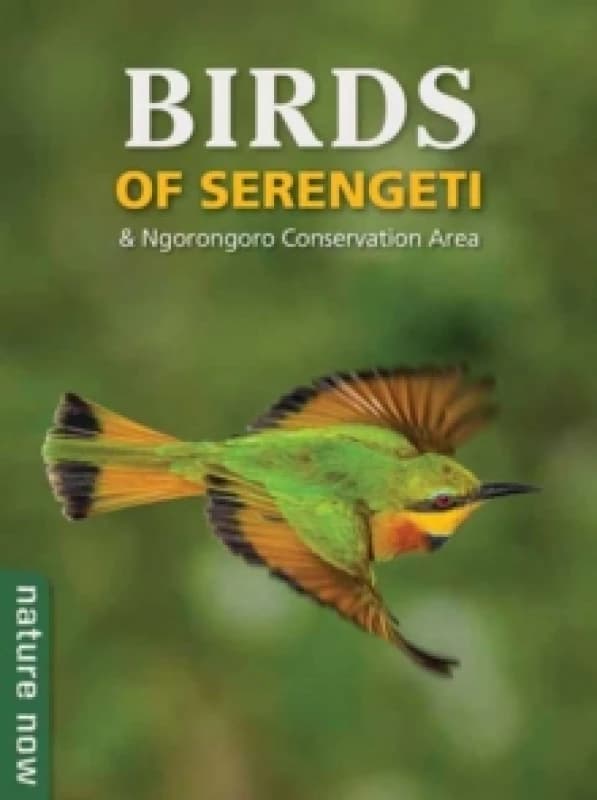 Birds of Serengeti & Ngorongoro Conservation Area Paperback / softback