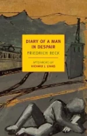 diary of a man in despair