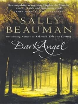Dark Angel by Sally Beauman Paperback