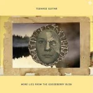Teenage Guitar - More Lies From The Gooseberry Bush Vinyl